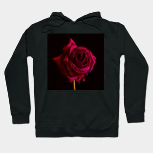 Isolated Hoodie